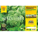 Cime di rape Broccoletto Friariello Napoletano - 6 piante - Orto Mio Orto Mio (2492842)