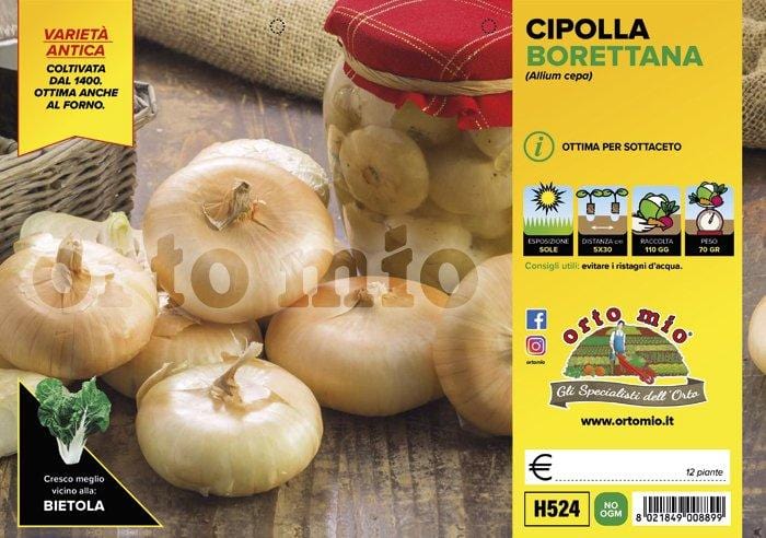 Cipolla Gialla Borettana da Sottaceto - 12 piante - Orto Mio Orto Mio (2492925)