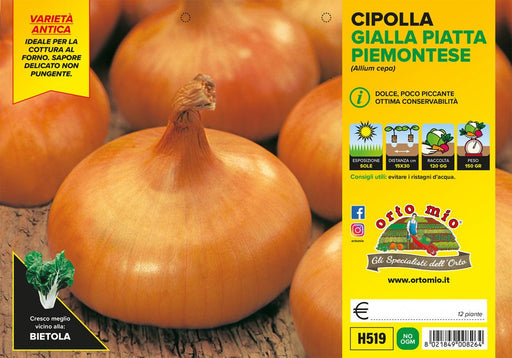Cipolla gialla piatta piemontese - Vaschetta 12 piante - Orto Mio Orto Mio (2492926)