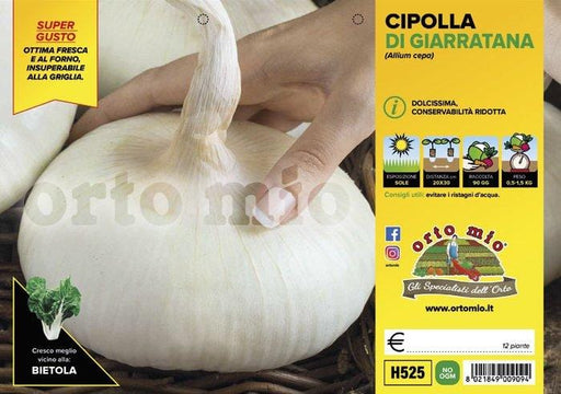 Cipolla gigante di Giarratana - 12 piante - Orto Mio Orto Mio (2492927)