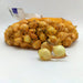 Cipolla in Bulbi varietà Stoccarda - L'Ortolano 1 kg L'Ortolano