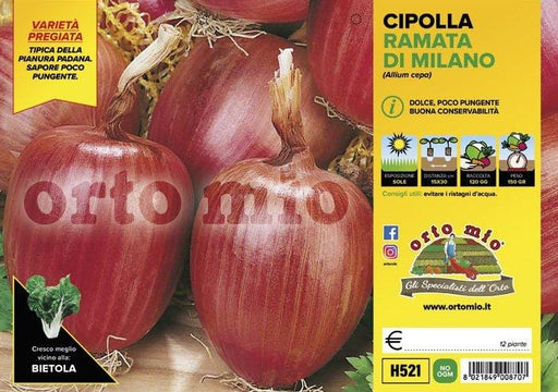 Cipolla ramata di Milano - 12 piante - Orto Mio Orto Mio (2492931)