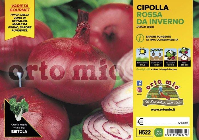 Cipolla rossa da inverno di Certaldo - 12 piante - Orto Mio Orto Mio (2492934)