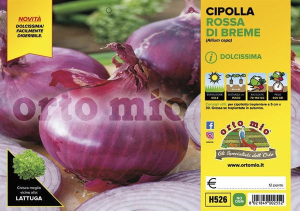 Vendita Piantine da Orto online: Consegna a Casa in tutta Italia