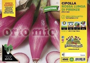 Cipolla rossa lunga di Firenze o Fiascona - 12 piante - Orto Mio Orto Mio (2492936)