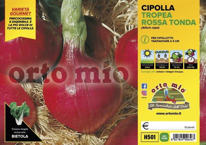 Cipolla Tropea Rossa Tonda - 12 piante - Orto Mio Orto Mio (2492939)