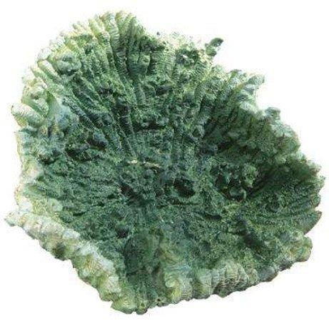 Corallo Verde Small - Blu 9135 - Decorazione In Resina Ferplast