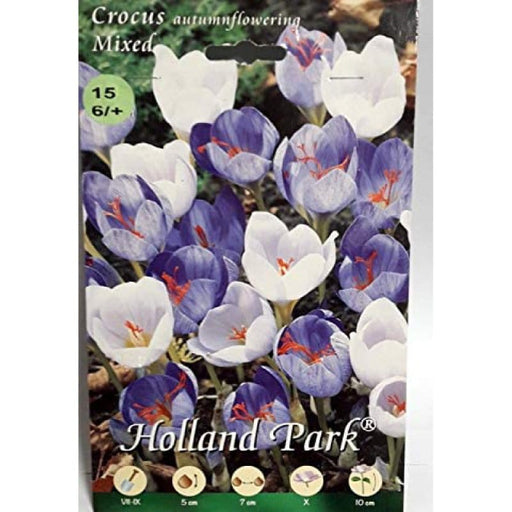 Crocus fioritura Autunnale Mixed da fiore - 15 Bulbi Fioral (2493379)