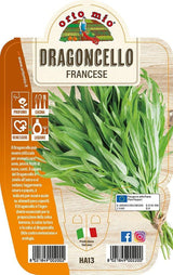 Immagine illustrativa: Dragoncello francese. La pianta ricevuta può avere dimensioni e sviluppo diversi.