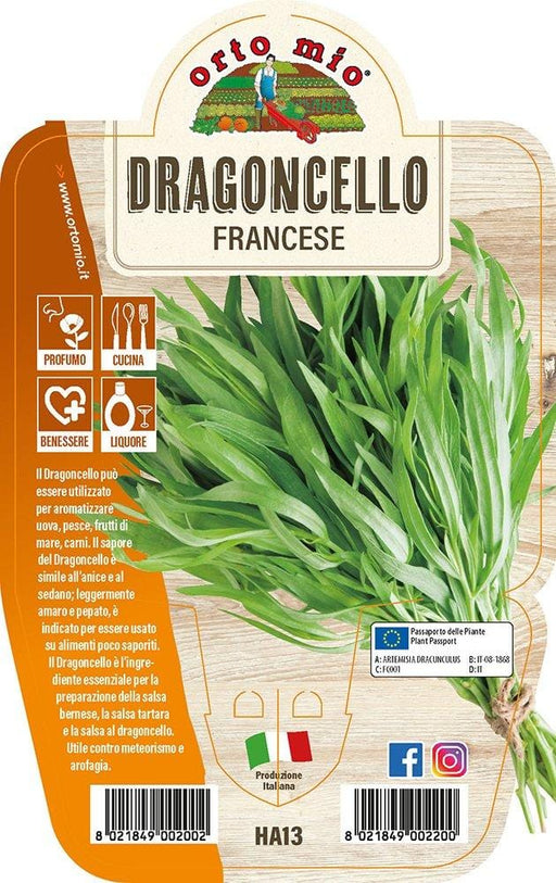 Dragoncello - 1 pianta v.14 cm - Orto Mio Orto Mio (2493616)