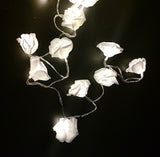 Catena di luci decorativa 20 Led - Rose Bianche - Luce Calda