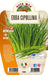 Erba Cipollina - 1 pianta v.14 cm - Orto Mio Orto Mio (2493667)