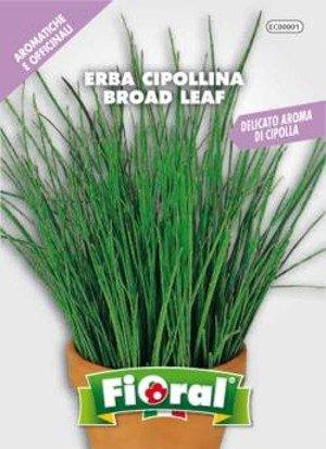 Erba Cipollina - Sementi di Aromatica - Fioral Fioral (2493669)