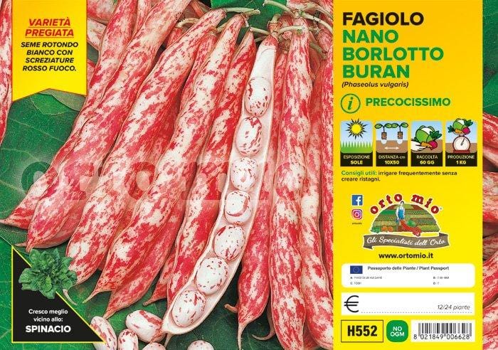 Fagiolo nano Borlotto lingua di fuoco Buran - 12 buche 24 piante - Orto Mio Orto Mio (2493721)