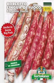 Fagiolo Nano borlotto lingua di fuoco - L'Ortolano L'Ortolano (2493717)