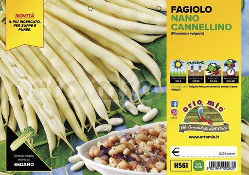 Fagiolo Nano Cannellino Montalbano - Vaschetta 12 piante - Orto Mio Orto Mio (2493723)