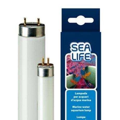 Ferplast SEALIFE LAMPADA NEON 54W T5 - Per acquario marino Ferplast