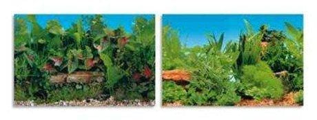 Ferplast SFONDO ACQUARIO PIANTE SU DUE LATI - Cm.120 x 50 Ferplast (2498437)