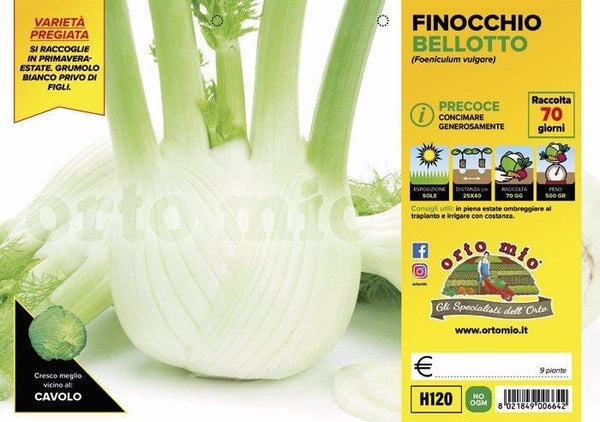 Vendita Piantine da Orto online: Consegna a Casa in tutta Italia