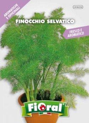 Finocchio Selvatico - Semi di aromatica in Bustina - Fioral Fioral (2494057)
