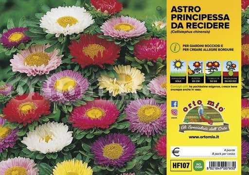 Fiori da recidere Astro - 4 piante - Orto Mio Orto Mio (2494084)