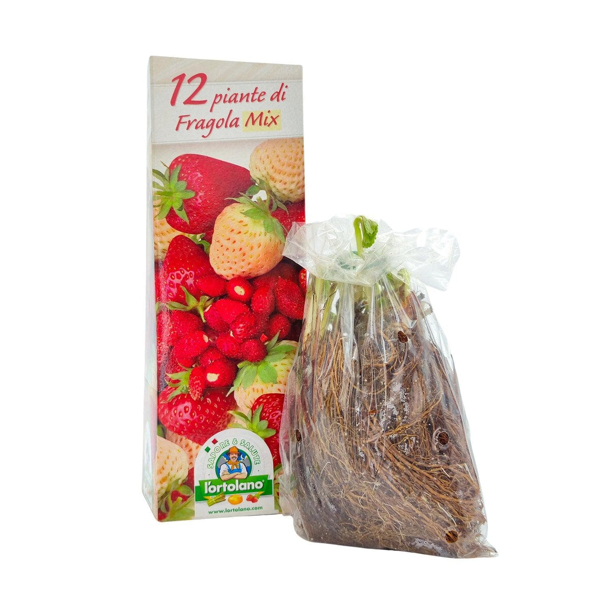 Fragola Mix - 12 piante - L'Ortolano L'Ortolano (2494207)