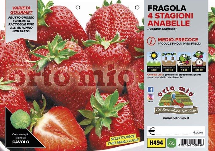 Fragola rifiorente 4 stagioni Anabelle - 6 piante - Orto Mio Orto Mio (2494209)