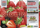 Fragola rifiorente 4 stagioni Anabelle - 6 piante - Orto Mio Orto Mio (2494209)