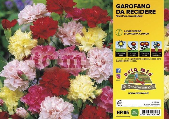 Garofano da recidere - 4 piante - Orto Mio Orto Mio (2494287)