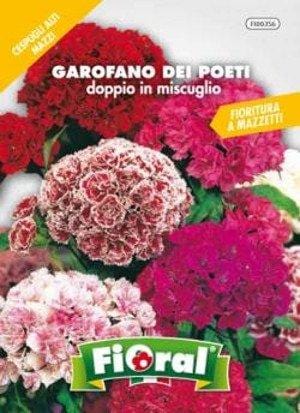 Garofano dei Poeti Doppio Miscuglio - Fioral Fioral (2494288)