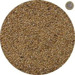 Grano Tenero per Animali MillStore (2494446)