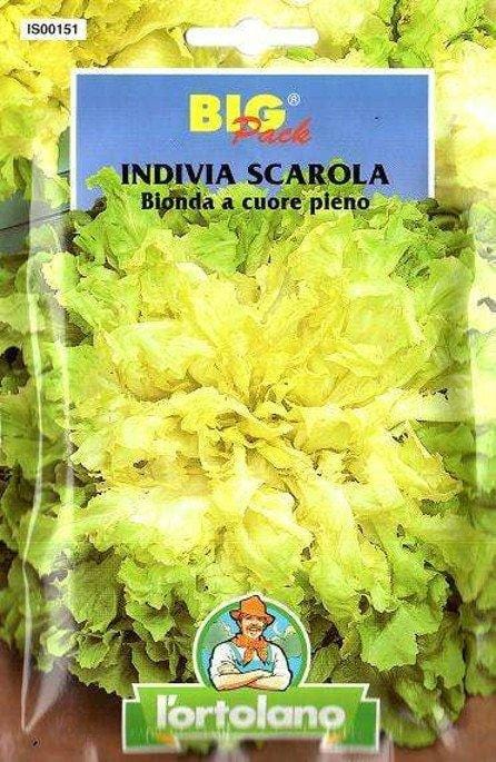 Indivia Scarola Bionda a Cuore Pieno - Big Pack - L'ortolano L'Ortolano (2494748)