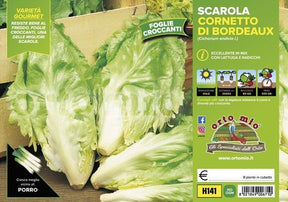 Indivia Scarola Cornetto di Bordeaux - 9 piante - Orto Mio Orto Mio (2494750)