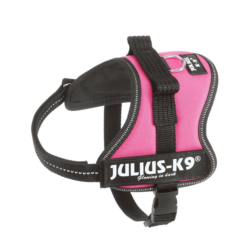 Julius-K9 Pettorina Mini-Mini-S : 40-53 cm - Fucsia Julius-K9 (2494857)