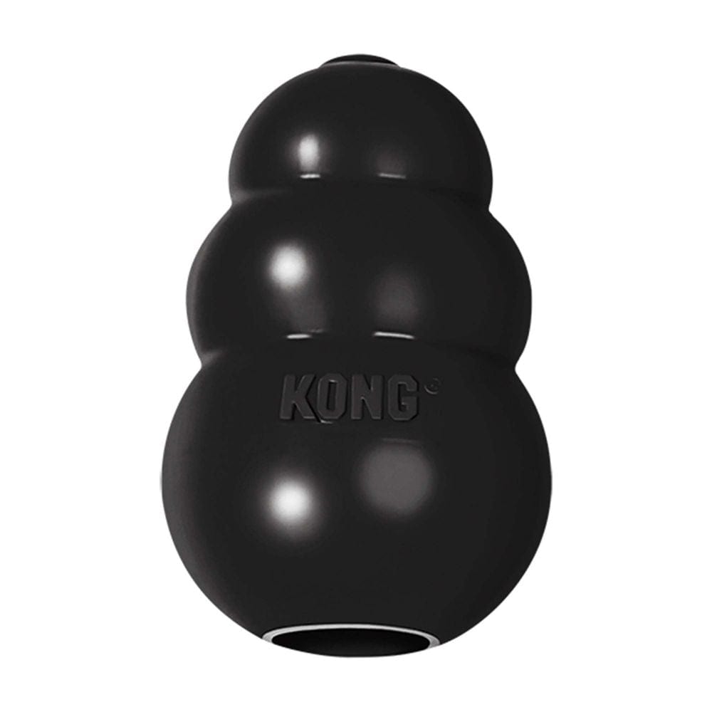 KONG Extreme - Gioco da Addestramento per cani Nero / Small KONG (2494928)