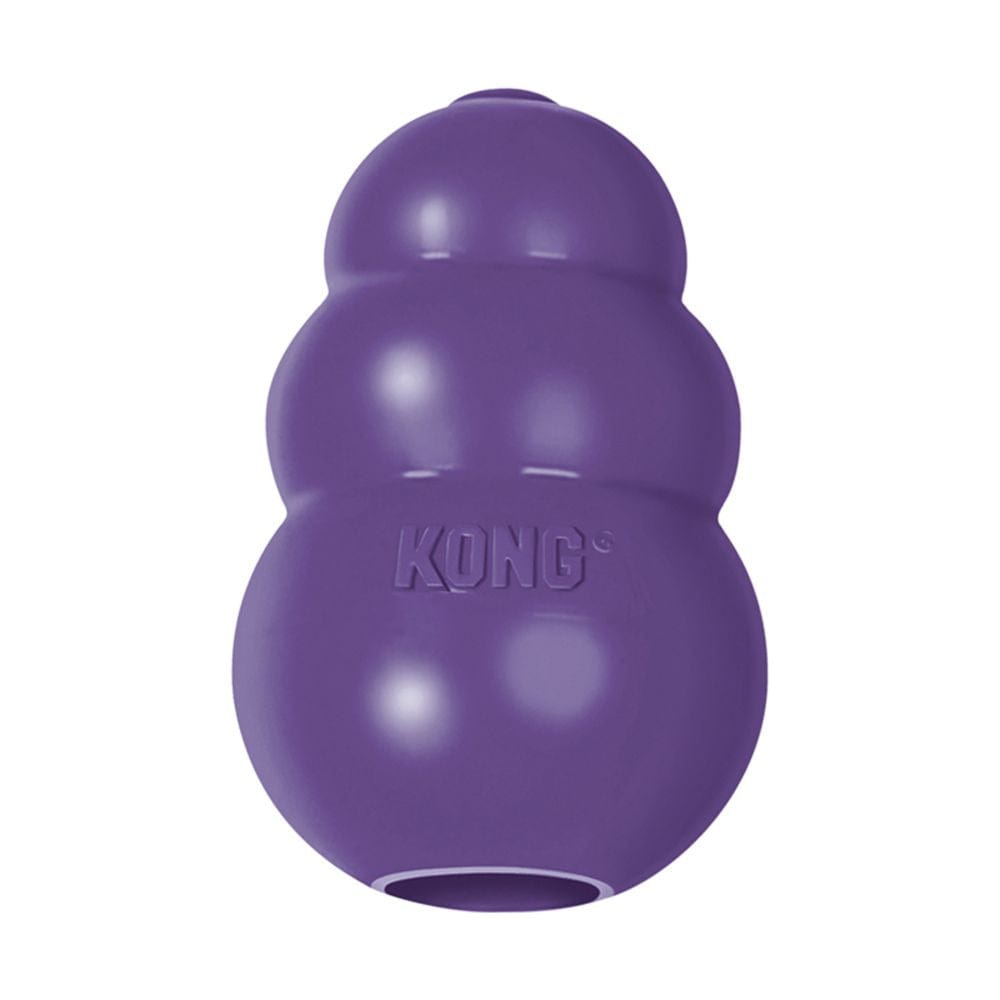 Kong Senior - Gioco da addestramento per cani Large KONG (2494956)