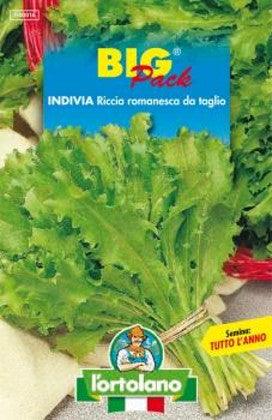 L'Ortolano BIG PACK INVIDIA RICCIA ROMANESCA DA TAGLIO - Sementi L'Ortolano (2495000)