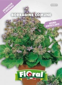 L'ortolano Borragine Comune - Busta Sementi Officinale Fioral (2495001)
