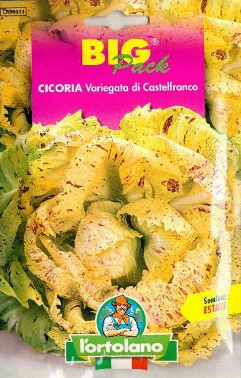 L'ortolano Cicoria Variegata Di Castelfranco Big Pack - Busta Sementi L'Ortolano (2495009)