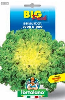L'ortolano Indivia Riccia Cuor D'oro - Big Pack L'Ortolano (2495023)