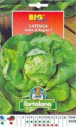 L'ortolano Lattuga Estiva Di Kagran 2 Big Pack - Busta Sementi L'Ortolano (2495024)