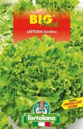 L'Ortolano LATTUGA GENTILINA BIG PACK - Sementi in Bustina L'Ortolano (2495025)