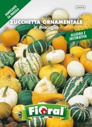 L'Ortolano Zucchetta Ornamentale in Miscuglio Fioral (2500100)