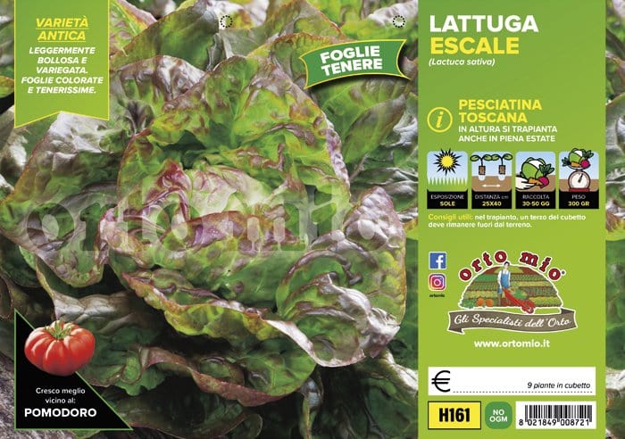 Lattuga 4 stagioni Soliflore - 9 piante - Orto Mio Orto Mio (2495121)