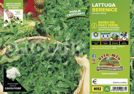 Lattuga barba dei frati verde Berenice - 9 piante - Orto Mio Orto Mio (2495123)