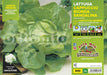 Lattuga cappuccio bionda Sandalina - 9 piante - Orto Mio Orto Mio (2495129)