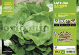 Lattuga cappuccio verde Ranger (primaverile-invernale) - 9 piante - Orto Mio Orto Mio (2495132)