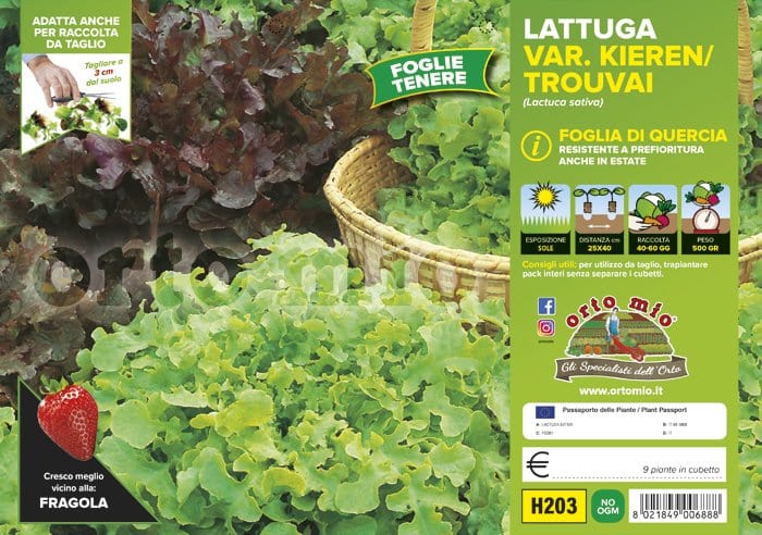 Lattuga foglia di quercia mix Kieren-Trouvai - 9 piante - Orto Mio Orto Mio (2495134)