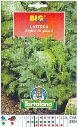 Lattuga Regina Dei Ghiacci - Big Pack - L'Ortolano L'Ortolano (2495142)