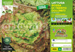Lattuga rossa di Trento Dolomiti - 9 piante - Orto Mio Orto Mio (2495148)